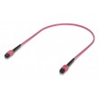 Ubiquiti UACC-OFC-MA-MPMP-0.5M-10 InfiniBand/fibre optic cable MPO-12 Rose