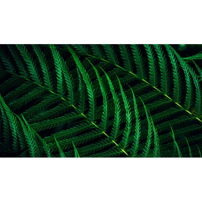 Philips 5000 series 24B2G5301/00 computer monitor 60.5 cm (23.8