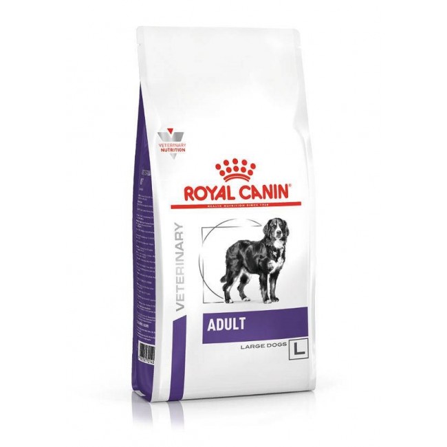 ROYAL CANIN Adult Large - dry food 13 kg