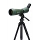 Celestron Regal M2 80ED spotting scope 60x BaK-4 Black, Green