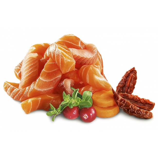 SHELMA Salmon and trout pate - wet cat food - 100g