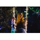 INTELLIGENT LED ICICLES TWINKLY 190 RGB 5X0.7M INTELLIGENT LED ICICLES TWINKLY 190 RGB 5X0.7M
