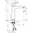 Hansgrohe Focus Chrome
