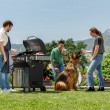 Black+Decker BXOG12950E gas grill, 3 burners Black+Decker BXOG12950E gas grill, 3 burners