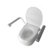 Raising toilet seat with handrails