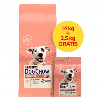 PURINA Dog Chow Sensitive Salmon - dry dog food - 14 + 2,5kg