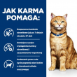 HILL'S Urinary Care c/d Multicare - wet cat food - 85g