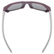 Uvex cosmic Unisex Full rim Silver
