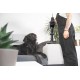 Upright hoover Ultimate Pro CONCEPT VP6250 Upright hoover Ultimate Pro CONCEPT VP6250