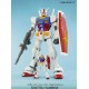 MSM 1/48 RX-78-2 GUNDAM BL MSM 1/48 RX-78-2 GUNDAM BL