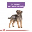 ROYAL CANIN Mini Sterilised - dry food for adult dogs, small breeds, after sterilisation - 1kg ROYAL CANIN Mini Sterilised - dry food for adult dogs, small breeds, after sterilisation - 1kg