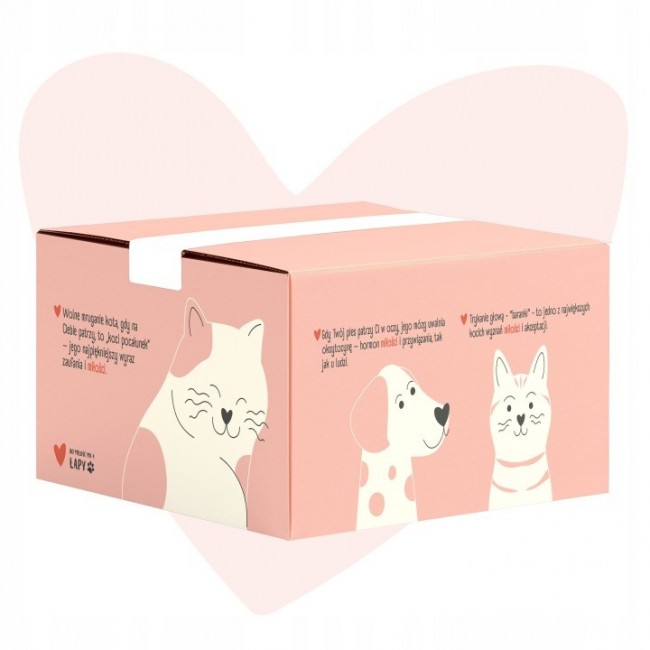 ANIMAL ISLAND Love Box Fillets in Broth Box + Toy - wet cat food - 48x85g ANIMAL ISLAND Love Box Fillets in Broth Box + Toy - wet cat food - 48x85g