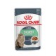 Royal Canin Digest Sensitive Care - wet cat food - 12x85g