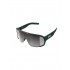 Cycling glasses POC Aspire green