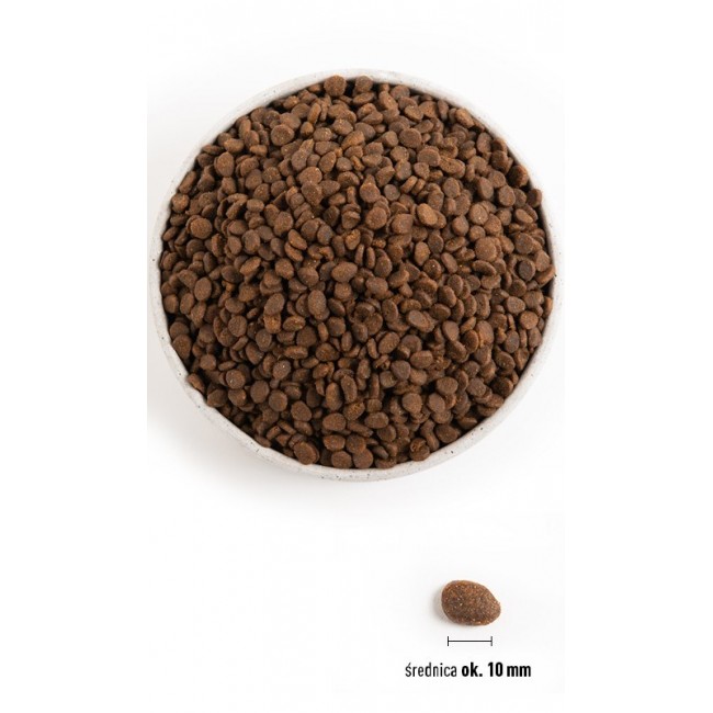 ORIJEN Regional Red Cat - dry cat food - 340g ORIJEN Regional Red Cat - dry cat food - 340g