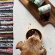 OLLO Umami Goose and turkey - wet dog food - 850g