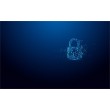 Kingston Technology IronKey 64GB Vault Privacy 50 AES-256 Encrypted, FIPS 197