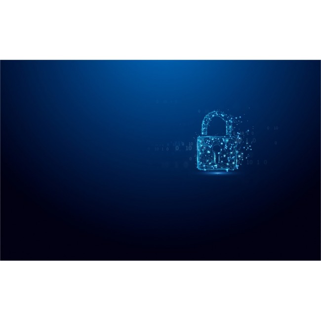 Kingston Technology IronKey 64GB Vault Privacy 50 AES-256 Encrypted, FIPS 197