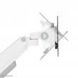 Neomounts DS70-250WH2 Monitor arm 17-32