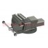 Fixed cast iron vise 125mm/AR