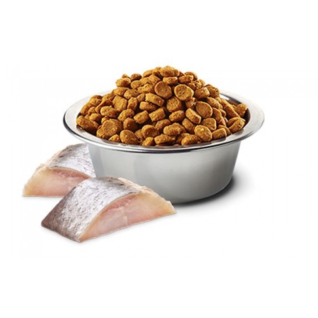 FARMINA N&D Spirulina Herring Adult Med/Maxi - dry dog food - 7 kg