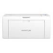 Pantum P2509W Mono Laser Laser Printer Wi-Fi