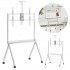 Maclean TV stand / cart, camera shelf, on casters, 55-100