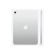 Apple iPad 256 GB 27.9 cm (11