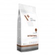 VETEXPERT Veterinary Diet Intestinal Dog - dry dog food - 2 kg