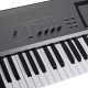Korg KROME EX 73 - synthesiser, workstation, 73 keys. (grey)