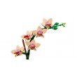LEGO ICONS 10343 The Botanical Collection - Mini Orchid