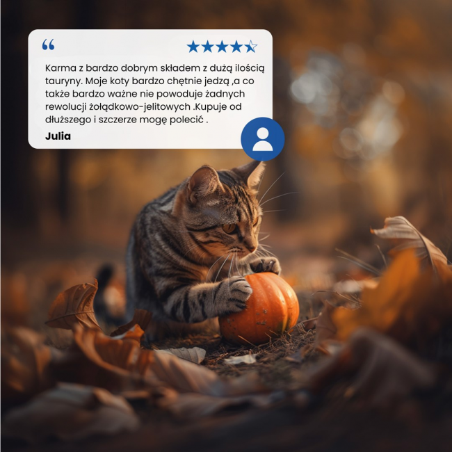 FARMINA N&D Pumpkin Cat Lamb and Blueberry Neutered Adult - dry cat food - 1.5 kg