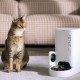 Petkit Automatic feeder YumShare Solo with camera Petkit Automatic feeder YumShare Solo with camera