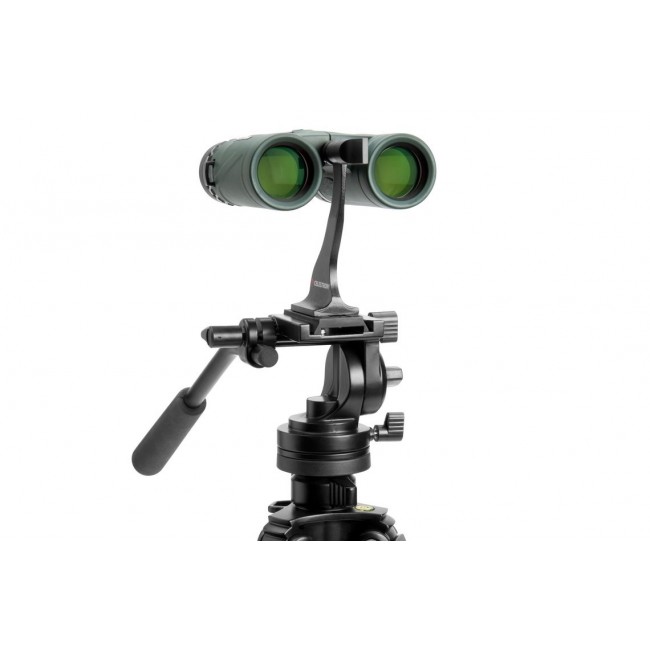 Celestron Nature DX 8x32 binocular BaK-4 Black, Green