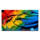 Philips 50HFL6214U 127 cm (50 Philips 50HFL6214U 127 cm (50
