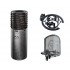 Aston Spirit Mic Bundle w/ mount & pop filter