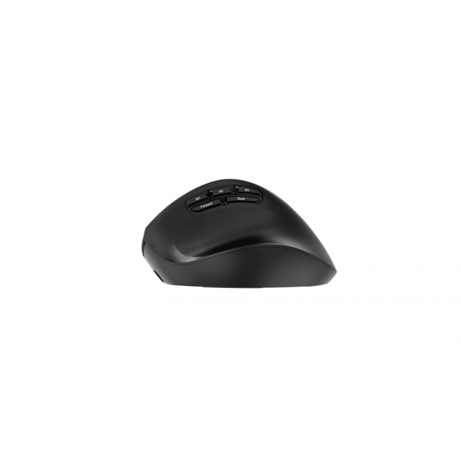 Gembird MUSW3-9B-01 Triple-mode wireless ergonomic mouse (2.4G + BT + USB), 2400 DPI, 9-button, black