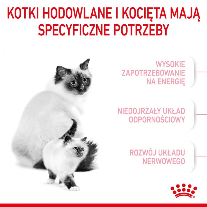 Royal Canin Mother & Babycat cats dry food 4 kg Adult Poultry