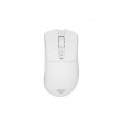 GENESIS Zircon 880 mouse Gaming Right-hand RF Wireless + Bluetooth + USB Type-C Optical 12000 DPI