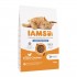 IAMS Advanced Nutrition Light/Sterilised - dry cat food - 10 kg