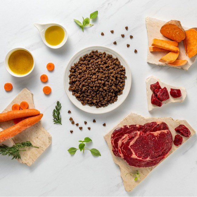 RAW PALEO Ultra Medium&Large Adult Beef - dry dog food - 10 kg RAW PALEO Ultra Medium&Large Adult Beef - dry dog food - 10 kg