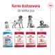 ROYAL CANIN Adult Medium - dry dog food - 4kg