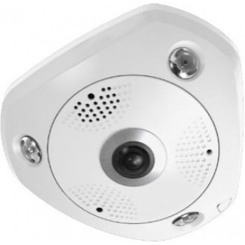 LevelOne FCS-3095 security camera Spherical IP security camera Indoor & outdoor 4000 x 3000 pixels Ceiling/Wall/Desk