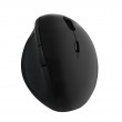 LogiLink ID0139 mouse Office Right-hand RF Wireless Optical 1600 DPI LogiLink ID0139 mouse Office Right-hand RF Wireless Optical 1600 DPI