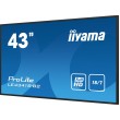 iiyama ProLite LE4341S-B2 - 43 iiyama ProLite LE4341S-B2 - 43