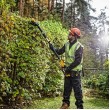 18V XR Pole Shears 55, Boom up to 3.35m, Cardboard