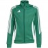 Sweatshirt for kids adidas Tiro 24 Training green IR7503 116cm