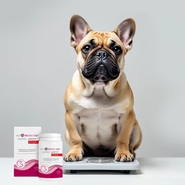 JM SANTE Vet Protector Gastro Appetite Stop- supplements for dogs and cats - 150g