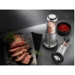 GEFU 34627 Rotary grater Black, Stainless steel, Transparent