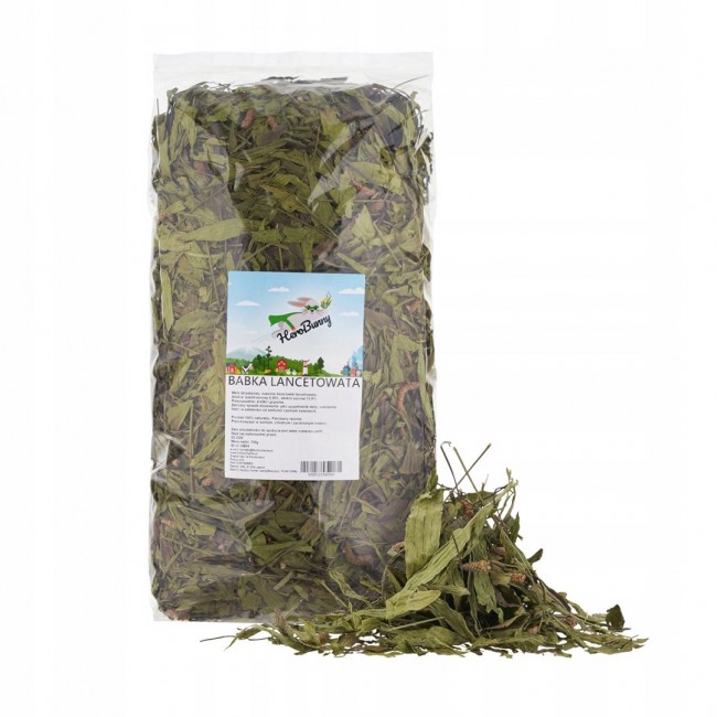 FACTORYHERBS Plantain leaf - treat for rodents and rabbits - 750g FACTORYHERBS Plantain leaf - treat for rodents and rabbits - 750g